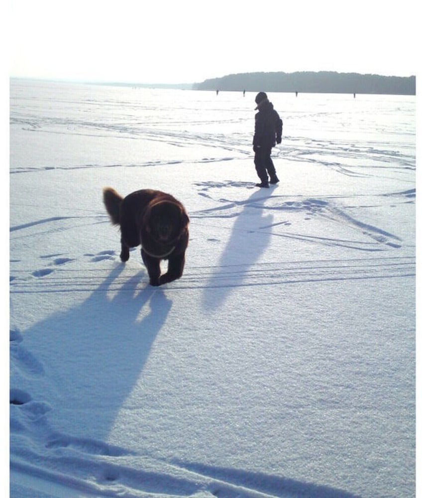 other