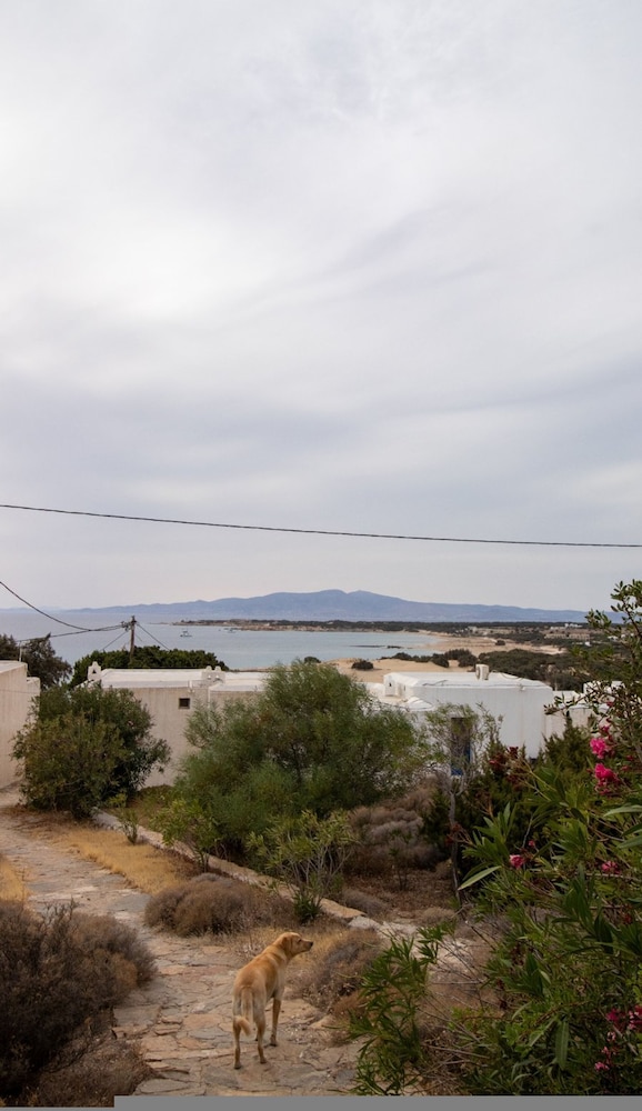 Ammos Studio Pyrgaki Naxos