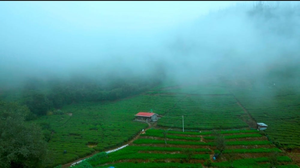 Wild and Free Farm Stay