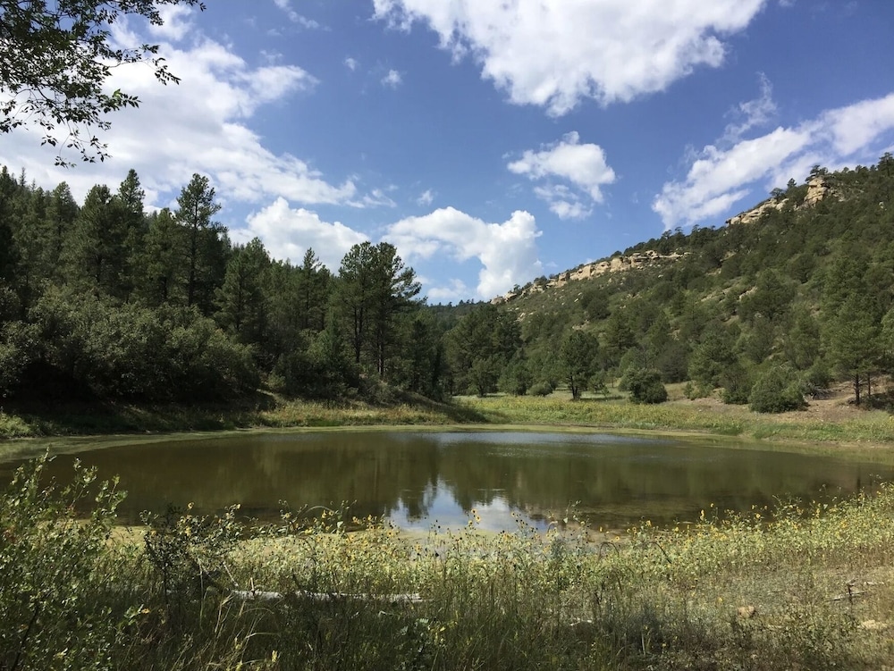 Valentine's Northern New Mexico Mountain Ranch On Colorado Border 2 Bedroom Retreat by RedAwning view 3