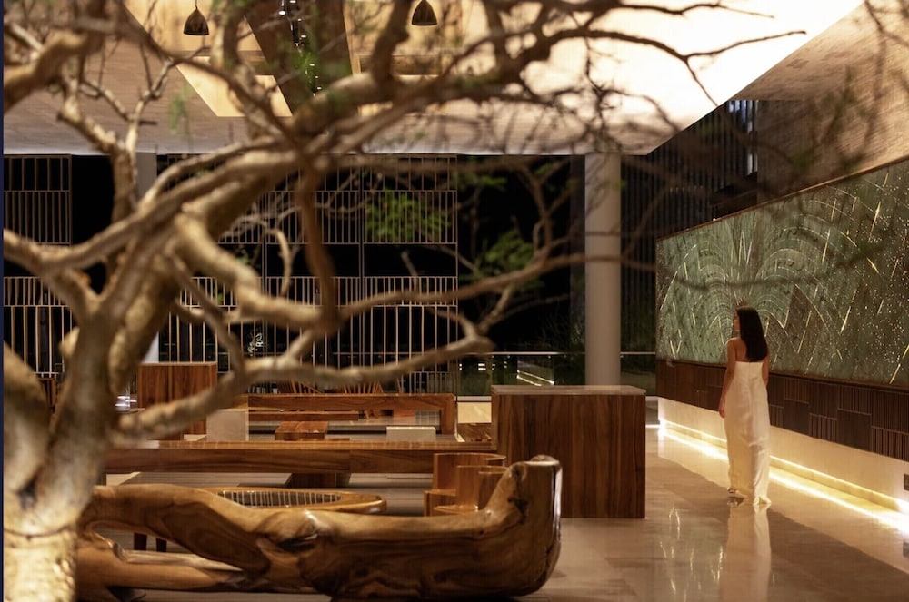 Luxury Ocean View Villa-Los Cabos at Solaz Resort