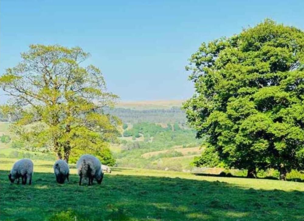 Grange Cottage Retreat in Bolton
