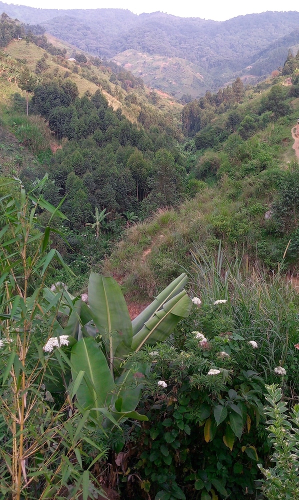 Karangura trekkers eco camp view 4