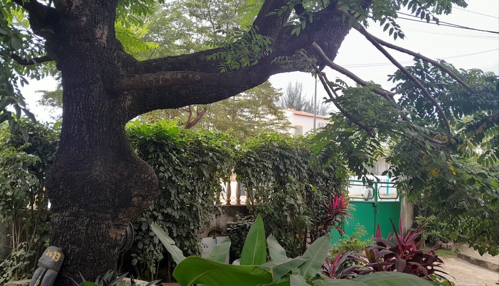 Casa de Ferias