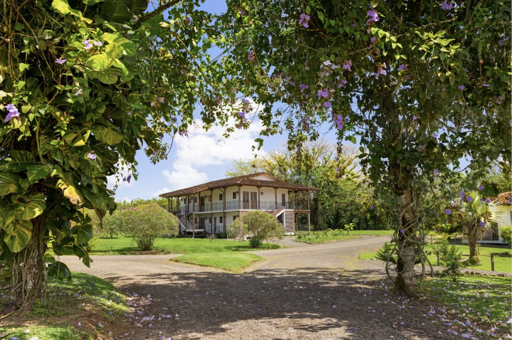 El Lugar