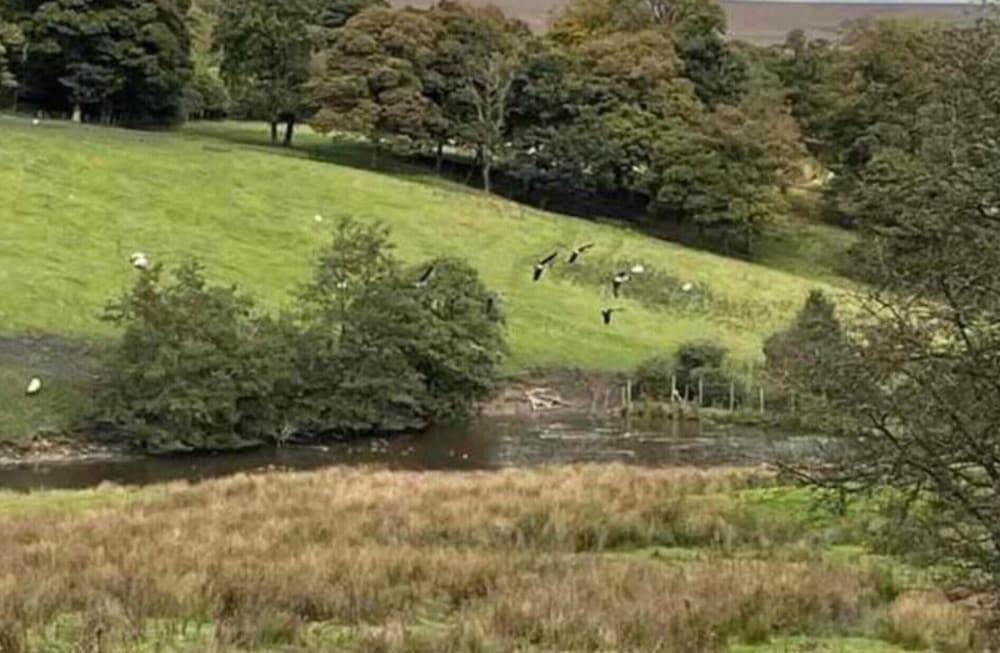 Grange Cottage Retreat in Bolton