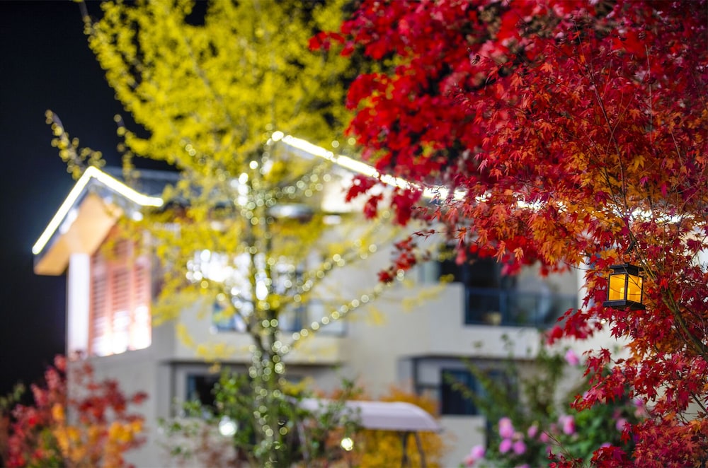 Summergarden Hotel