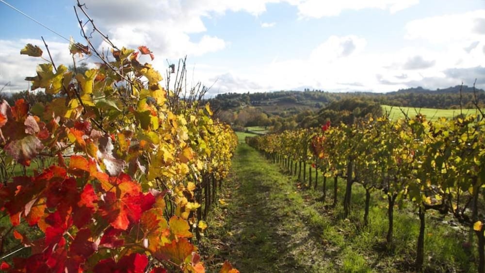 POGGIO CASALE