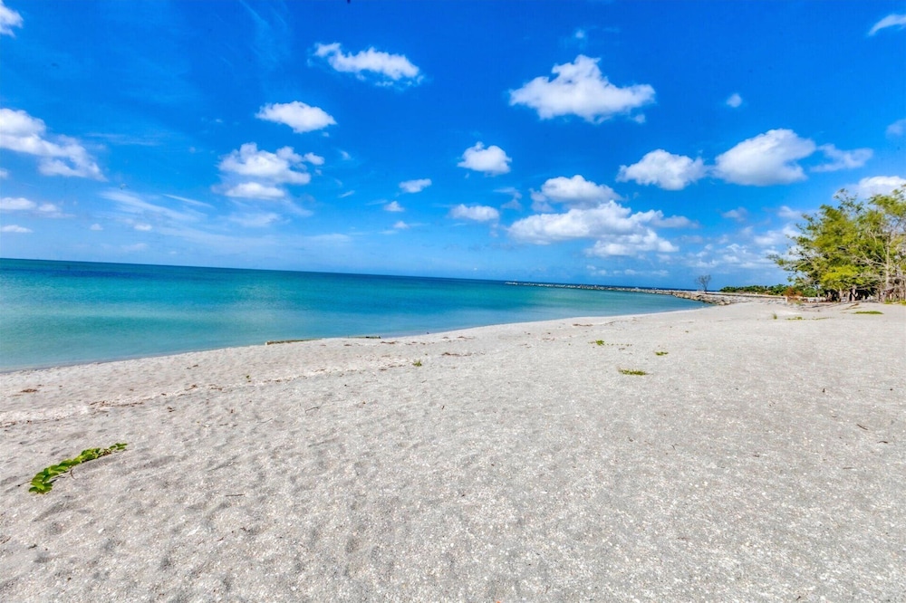 1555 Tarpon Center dr