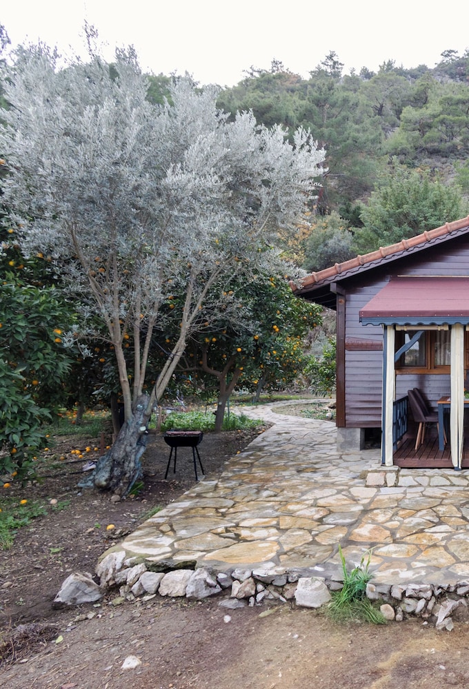 Tatil Evi Dilek Çıralı