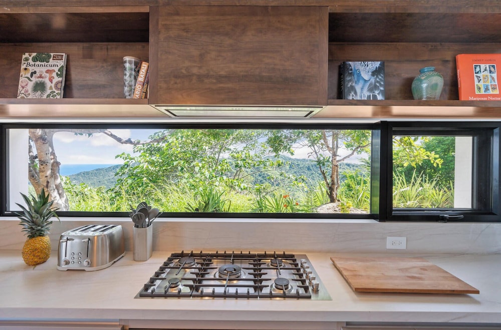 Luxurious Ultramodern Property with Private Suites, Infinity Pool, and Sweeping Ocean and Mountain Views