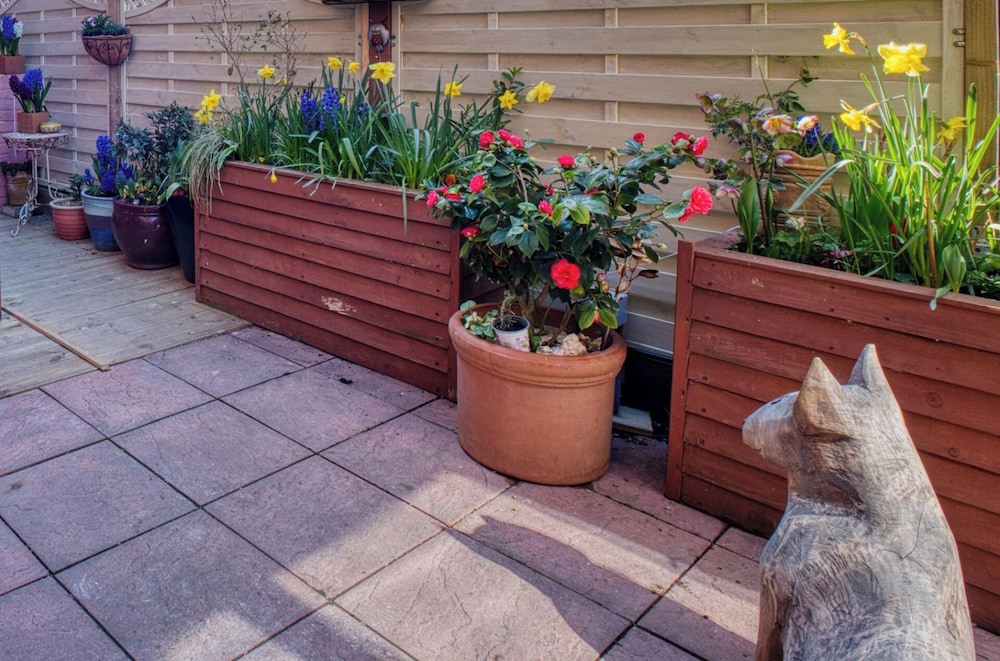 Beach, Dreamland, Restaurants Nearby- Sunny Garden