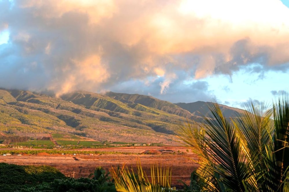 KBM Resorts Spacious 3-bedroom Honua Kai Collection Multi Unit Listing Same Floor Ocean Views + 2 Free Rental Cars! Hkh-516/45