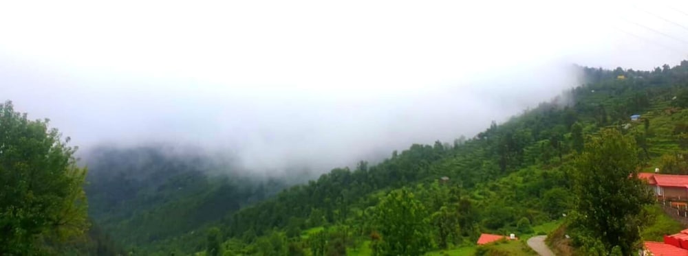 Country Holidays Himalayan View Cottages Mukteshwar