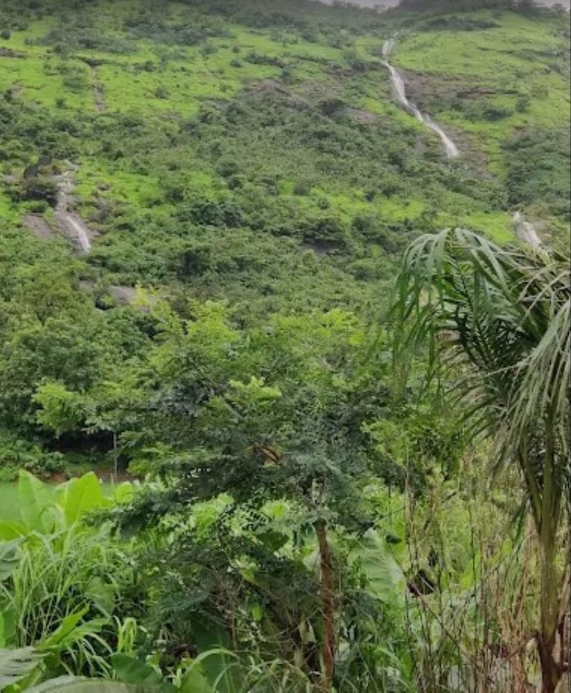 Hotel Krushnai Athavan Farm House
