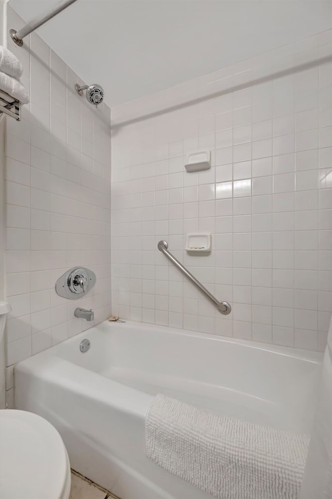 Watch the Dolphins Large Balcony Suite and Heated Pool