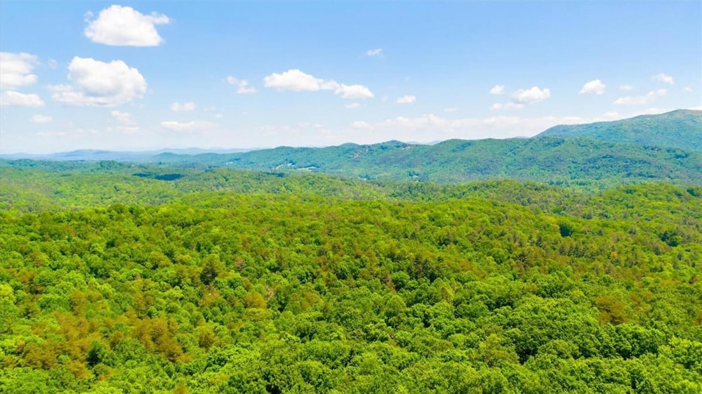 Hilltop Hideaway - Endearing Mountain Cabin With Hot tub Foosball pet Friendly view 3