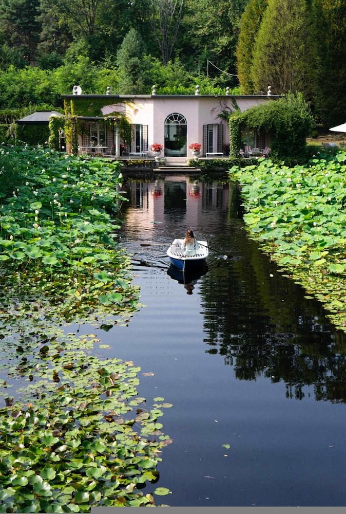 Charming 1BR Suite in Revislate