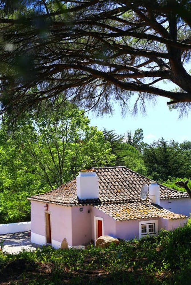 Pine Tree House in Azeit o