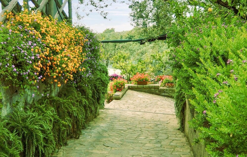 Photo 41
