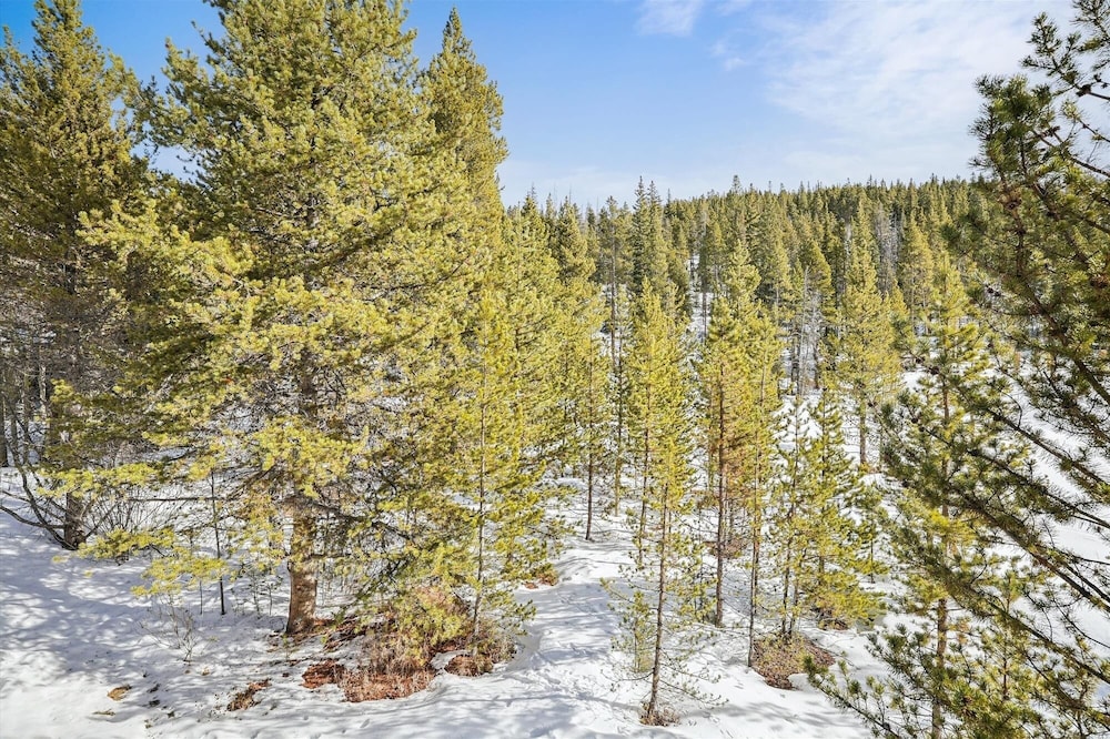 The Beaver Lodge At Breckenridge 4 Bedroom Home