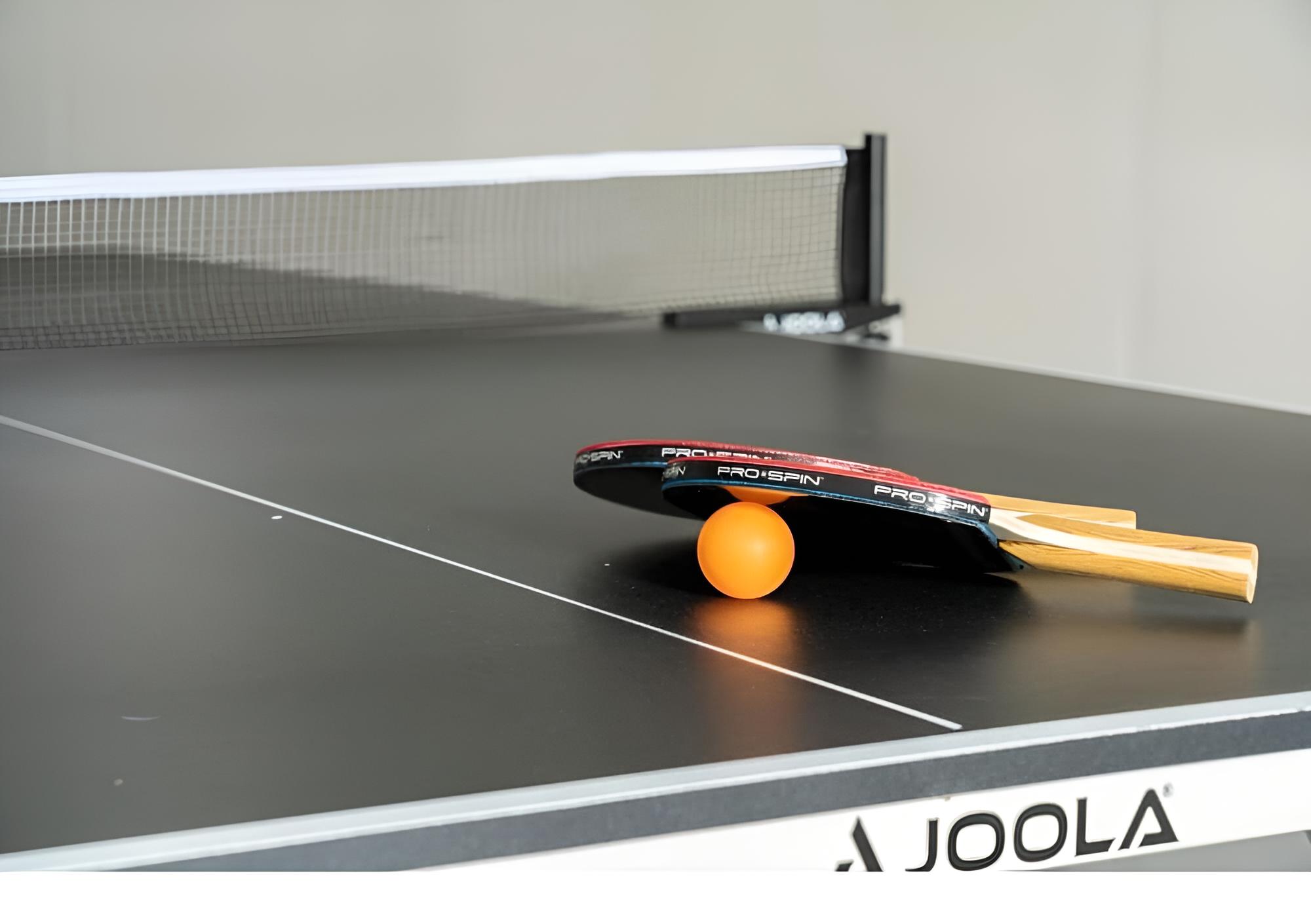 Timber Valley No Service Fees Ping Pong Table