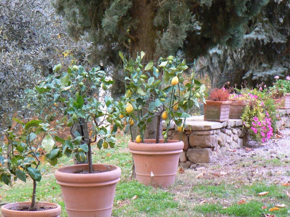 Villa Ceppeto Best Of Tuscany for Your Family view 4