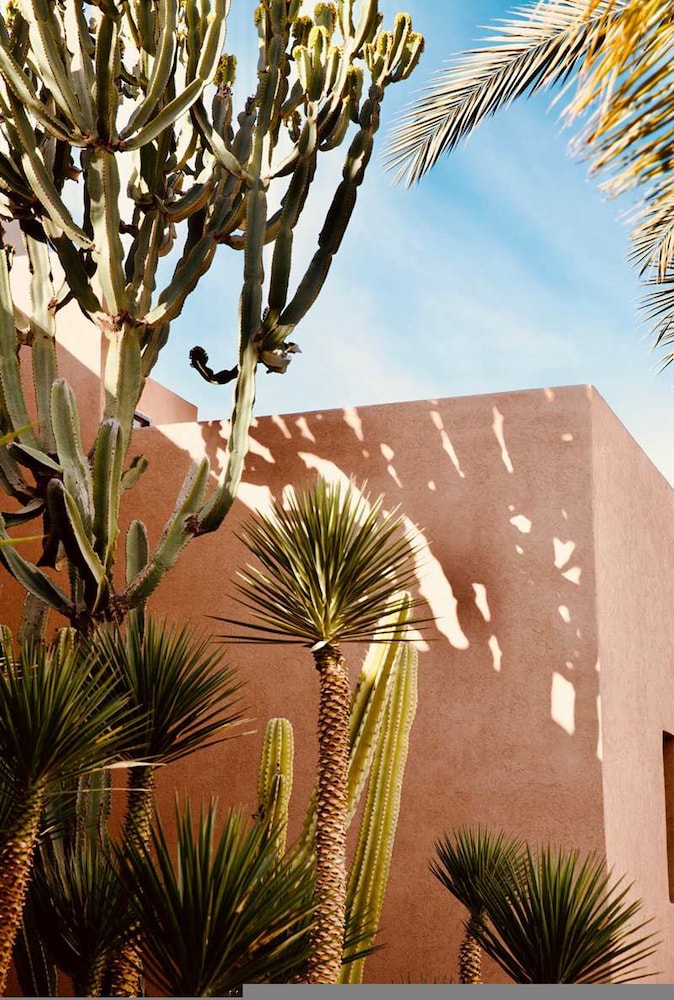 The Garden of Siredrah an Oasis With Pool and Hammam