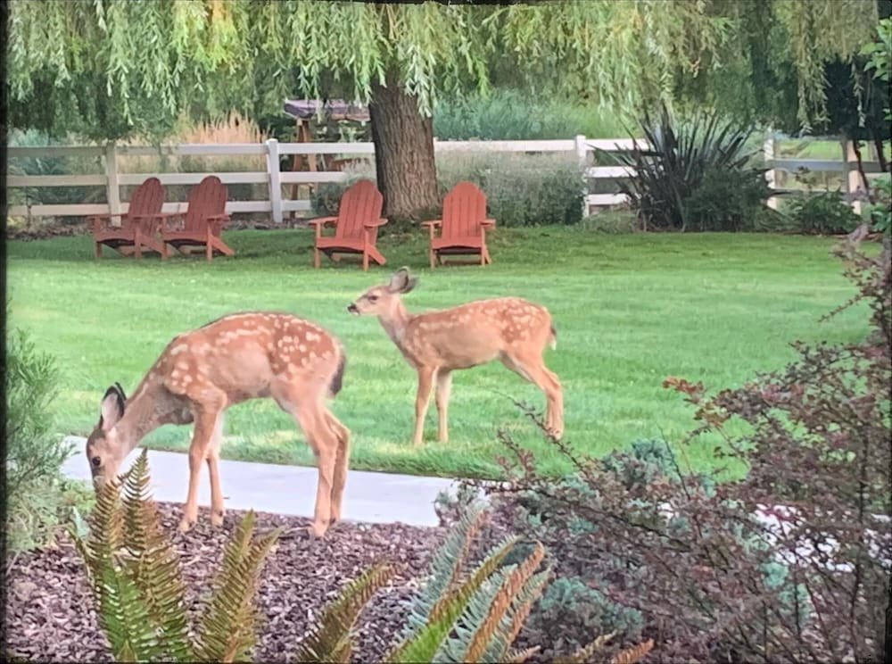 Ashland Vacations - Country Willows Inn and Estate - Property Image 15