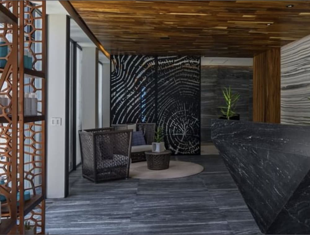 Luxury Ocean View Villa-Los Cabos at Solaz Resort