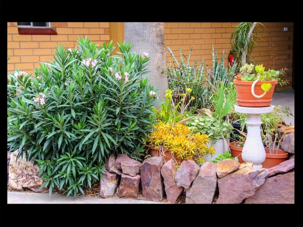 Pampas Motel - Property Image 16