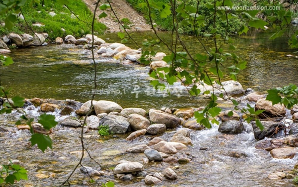 Yangpyeong 2 Days and 1 Night Pension view 4