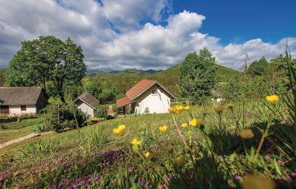 Nice Home in Kaluderovac With 1 Bedrooms and Wifi view 4