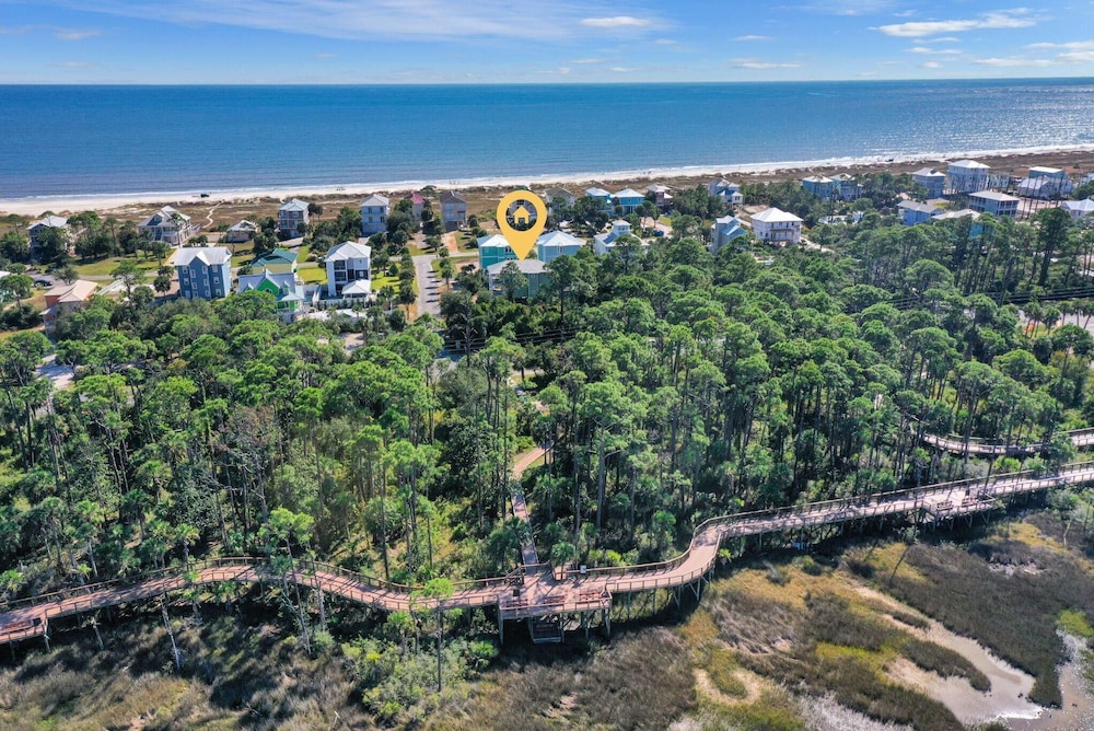Cape Palms