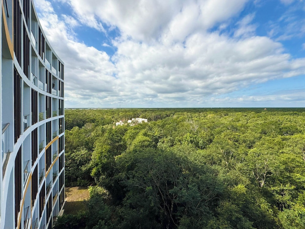 Bosques de Ciudad Mayakoba