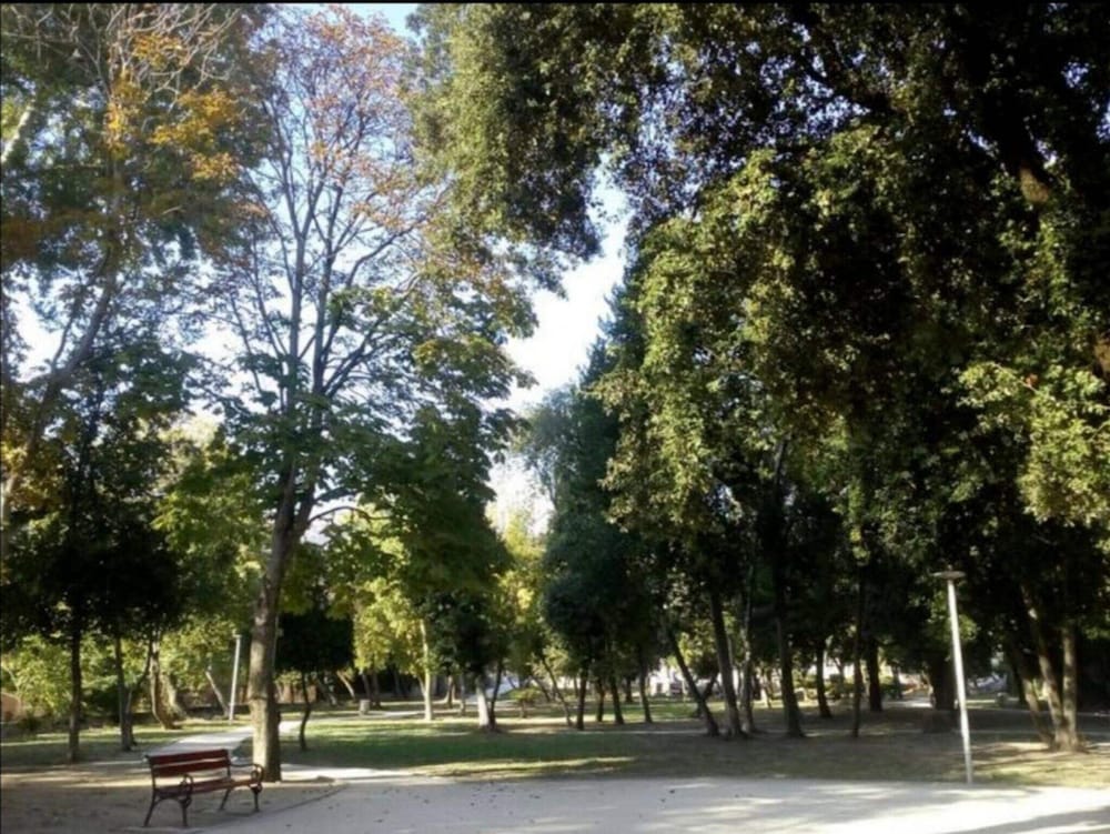 Photo 22