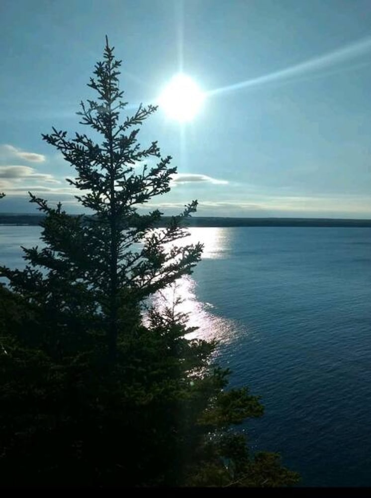 Family Friendly Cottage Walking Distance to Lions Head Beach