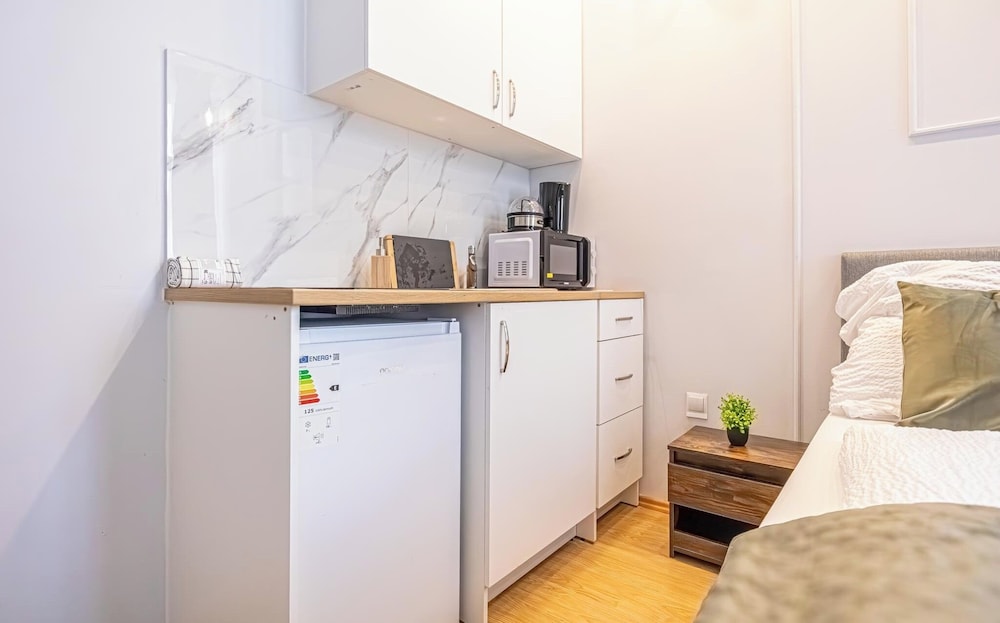 9BR Apts in the Heart of Vienna