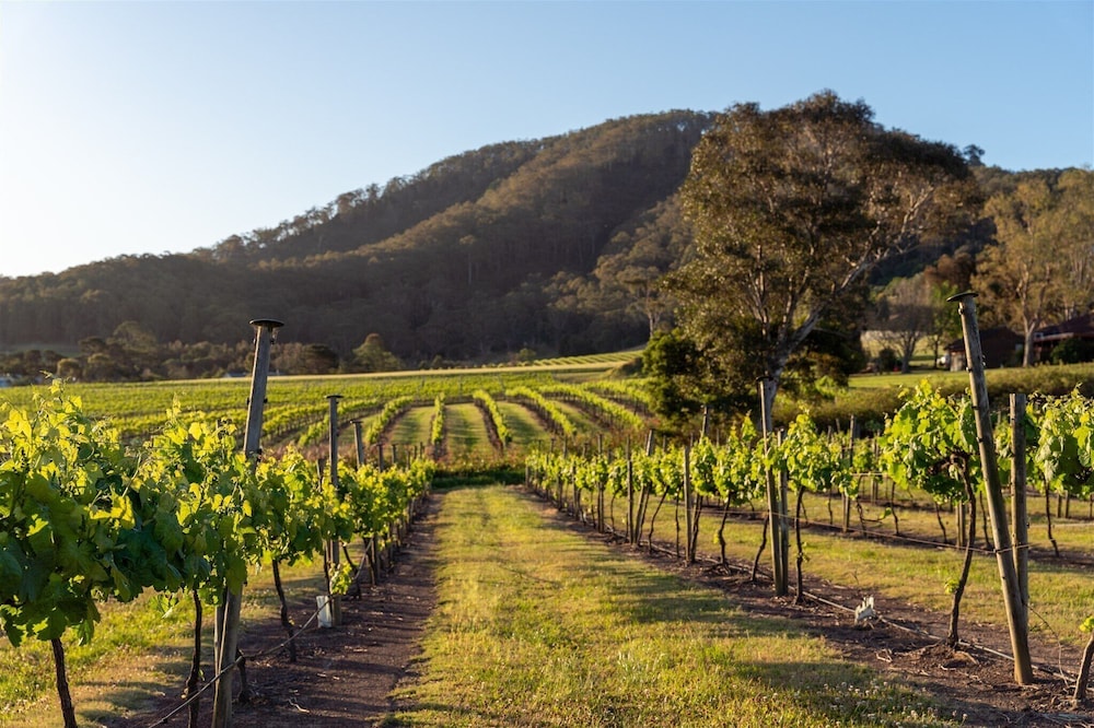 Coolangatta Estate