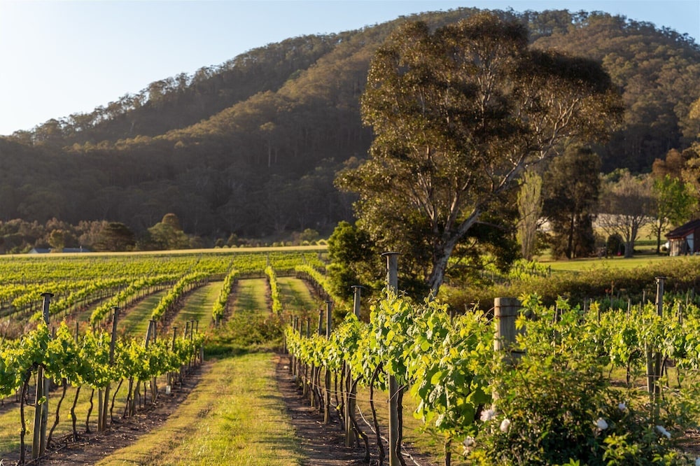 Coolangatta Estate