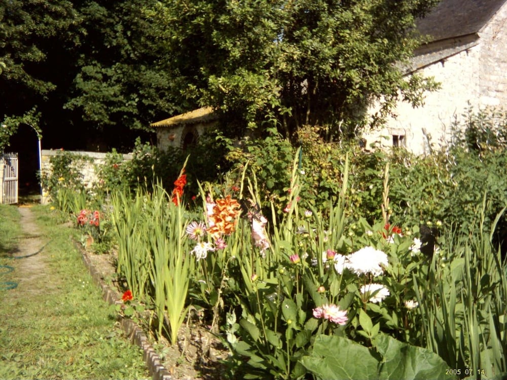 Photo 25