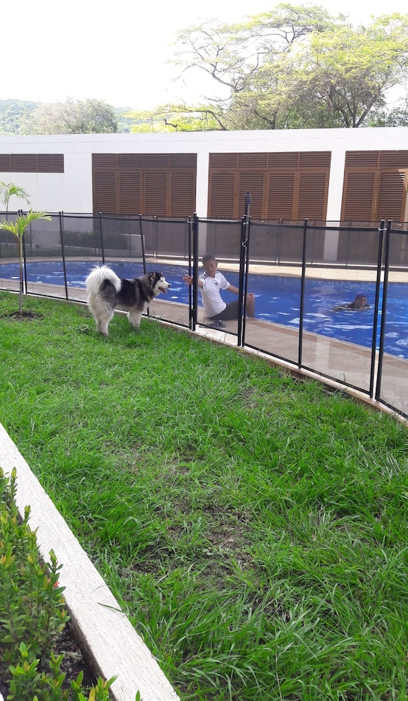 Photo 29
