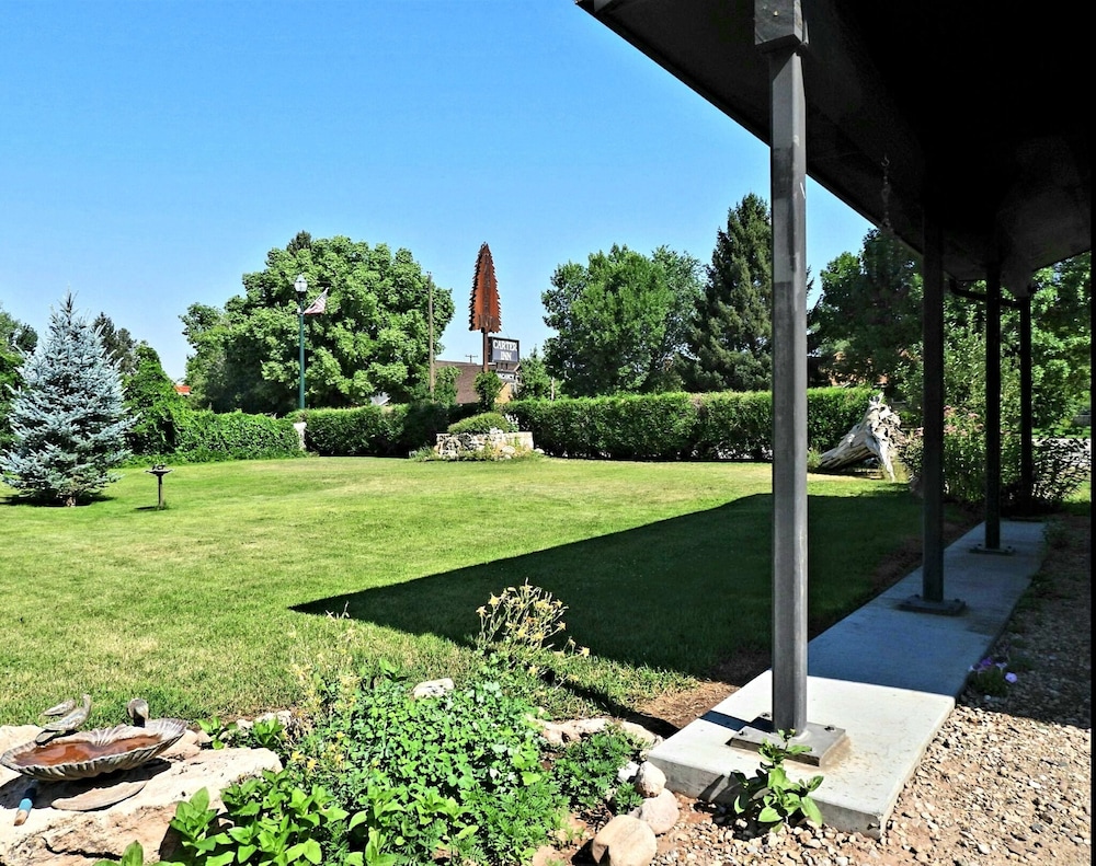 Photo 19