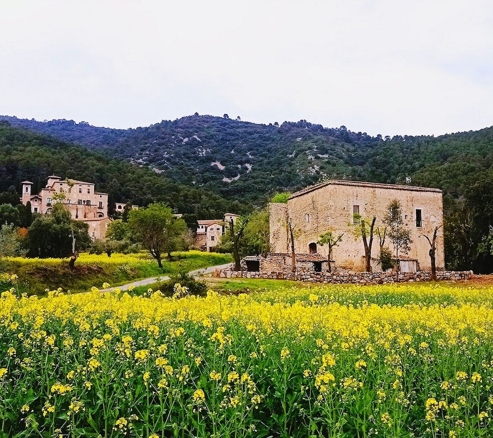 El Castell de Segueró view 3