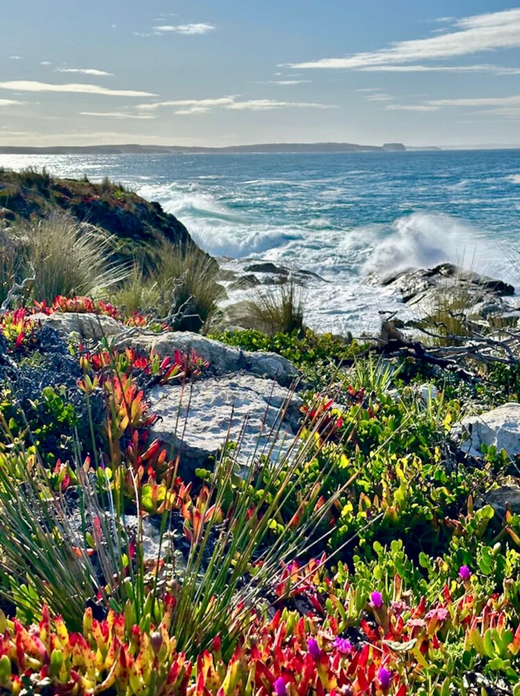 Unwind Kangaroo Island Dreaming