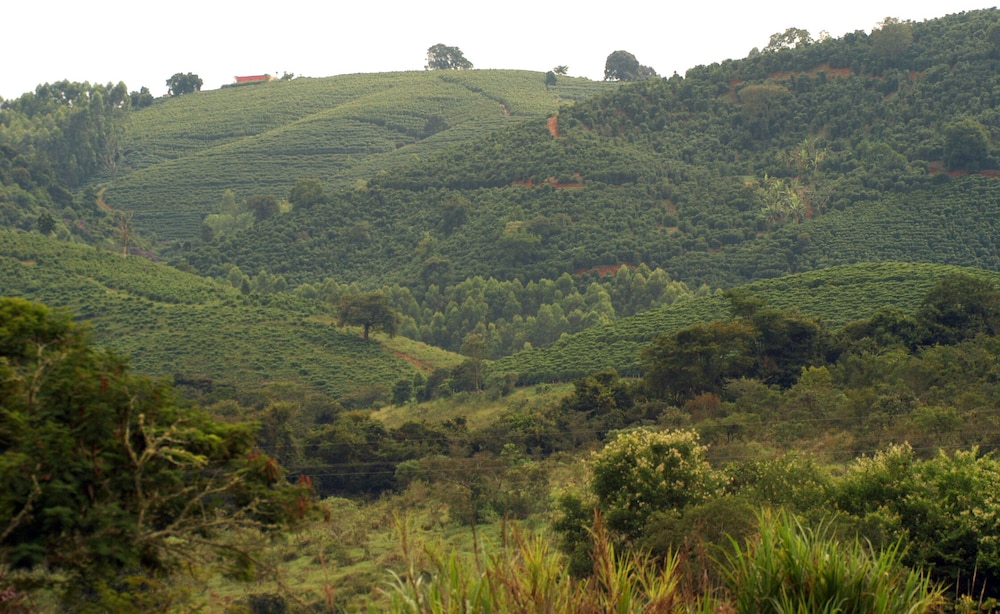 Hotel Fazenda Vale Formoso