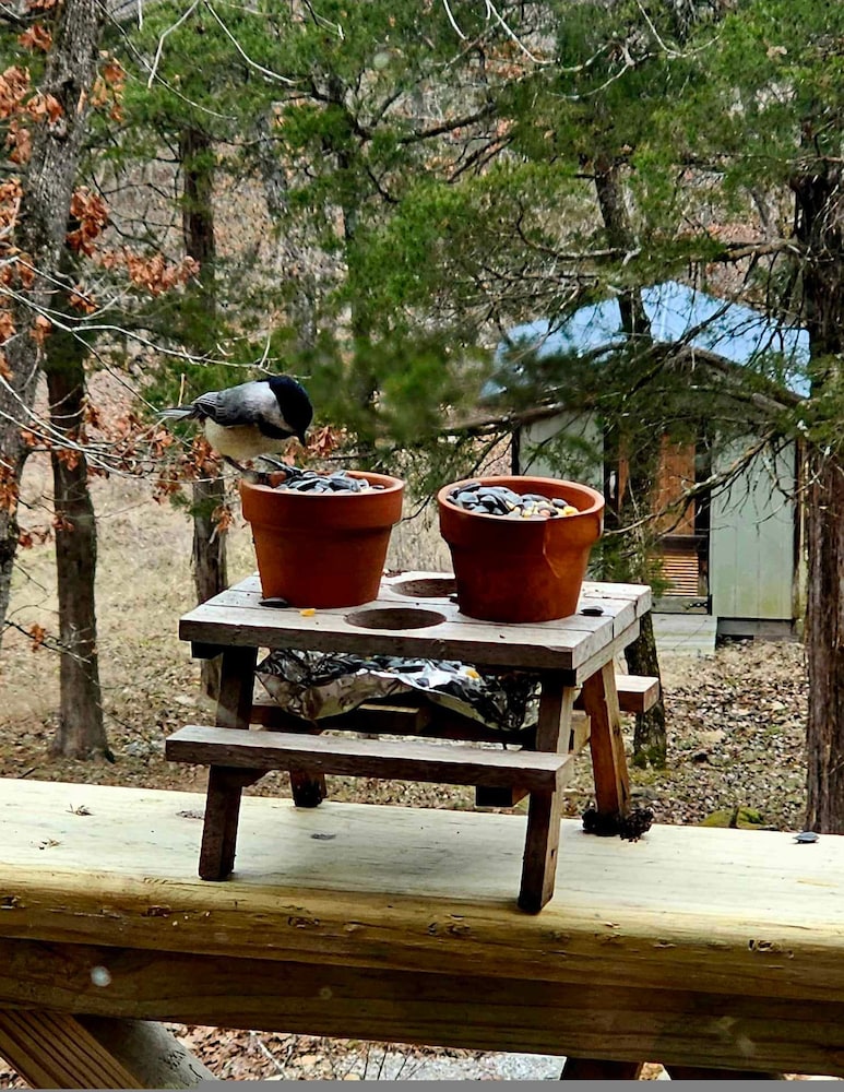 Whispering Hollow in Eureka Springs