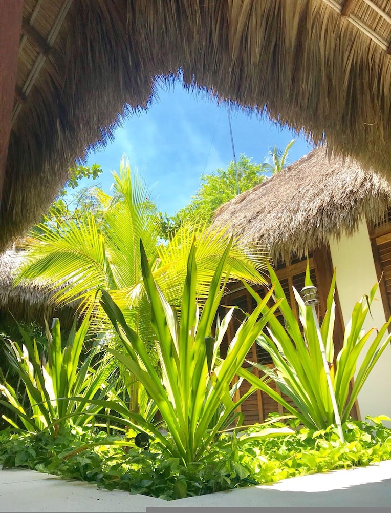 Casa Rhino Puerto Escondido Oaxaca Mexico