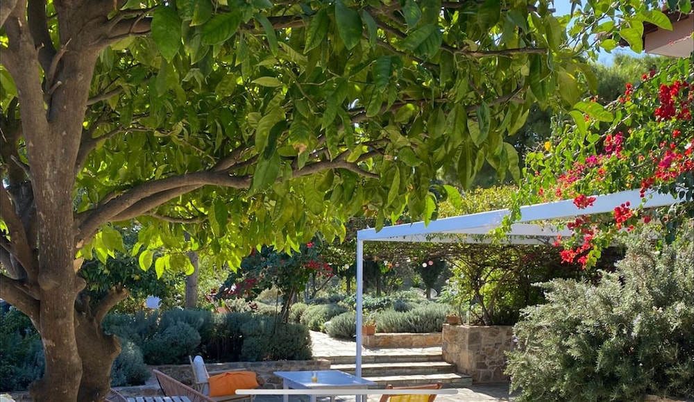 Villa-agave by the sea in Porto-rafti Outside ATH