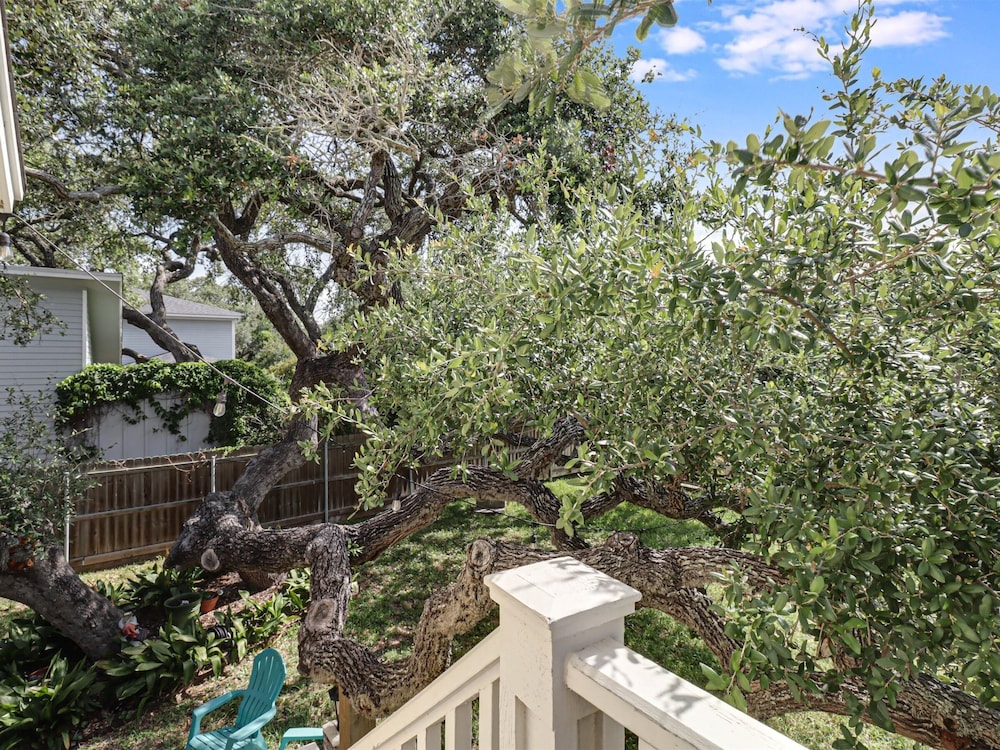 Rockport Treehouse 1 Bedroom Home